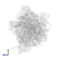 Large ribosomal subunit protein bL36A in PDB entry 5lze, assembly 1, side view.