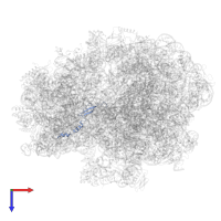 Large ribosomal subunit protein bL31 in PDB entry 5lze, assembly 1, top view.