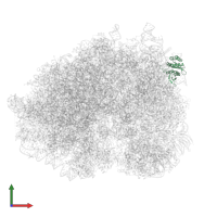 Small ribosomal subunit protein eS7 in PDB entry 5lzt, assembly 1, front view.