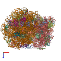 PDB entry 5lzu coloured by chain, top view.