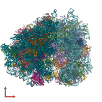 PDB entry 5lzx coloured by chain, front view.