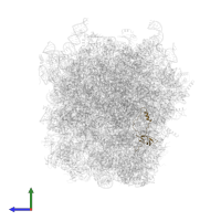 60S ribosomal protein L36a-like in PDB entry 5lzx, assembly 1, side view.