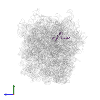 60S ribosomal protein L37a in PDB entry 5lzx, assembly 1, side view.