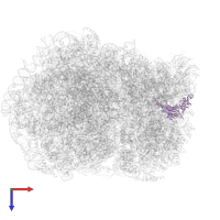 uS5 in PDB entry 5lzx, assembly 1, top view.