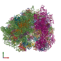 PDB entry 5lzy coloured by chain, front view.