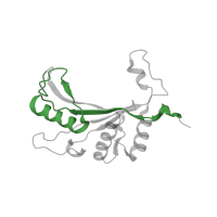 The deposited structure of PDB entry 5lzz contains 1 copy of Pfam domain PF00281 (Ribosomal protein L5) in Large ribosomal subunit protein uL5. Showing 1 copy in chain J.