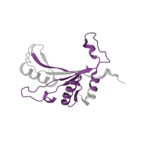 The deposited structure of PDB entry 5lzz contains 1 copy of Pfam domain PF00673 (ribosomal L5P family C-terminus) in Large ribosomal subunit protein uL5. Showing 1 copy in chain J.