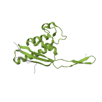 The deposited structure of PDB entry 5lzz contains 1 copy of Pfam domain PF00237 (Ribosomal protein L22p/L17e) in Large ribosomal subunit protein uL22. Showing 1 copy in chain O [auth P].