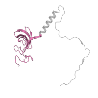 The deposited structure of PDB entry 5lzz contains 1 copy of Pfam domain PF01157 (Ribosomal protein L21e) in 60S ribosomal protein L21. Showing 1 copy in chain S [auth T].