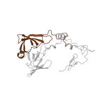 The deposited structure of PDB entry 5lzz contains 1 copy of Pfam domain PF00181 (Ribosomal Proteins L2, RNA binding domain) in Large ribosomal subunit protein uL2. Showing 1 copy in chain A.