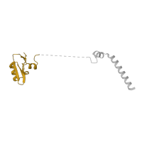 The deposited structure of PDB entry 5lzz contains 1 copy of Pfam domain PF01246 (Ribosomal protein L24e) in TRASH domain-containing protein. Showing 1 copy in chain V [auth W].