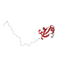 The deposited structure of PDB entry 5lzz contains 1 copy of Pfam domain PF00276 (Ribosomal protein L23) in Ribosomal protein L23/L25 N-terminal domain-containing protein. Showing 1 copy in chain W [auth X].