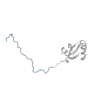 The deposited structure of PDB entry 5lzz contains 1 copy of Pfam domain PF03939 (Ribosomal protein L23, N-terminal domain) in Ribosomal protein L23/L25 N-terminal domain-containing protein. Showing 1 copy in chain W [auth X].