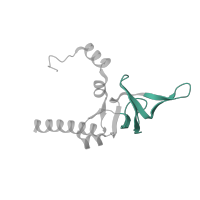 The deposited structure of PDB entry 5lzz contains 1 copy of Pfam domain PF00467 (KOW motif) in KOW domain-containing protein. Showing 1 copy in chain X [auth Y].