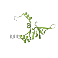 The deposited structure of PDB entry 5lzz contains 1 copy of Pfam domain PF16906 (Ribosomal proteins L26 eukaryotic, L24P archaeal) in KOW domain-containing protein. Showing 1 copy in chain X [auth Y].