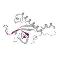 The deposited structure of PDB entry 5lzz contains 1 copy of Pfam domain PF00467 (KOW motif) in 60S ribosomal protein L27. Showing 1 copy in chain Y [auth Z].