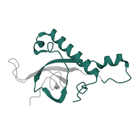 The deposited structure of PDB entry 5lzz contains 1 copy of Pfam domain PF01777 (Ribosomal L27e protein family) in 60S ribosomal protein L27. Showing 1 copy in chain Y [auth Z].