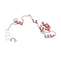 The deposited structure of PDB entry 5lzz contains 1 copy of Pfam domain PF00828 (Ribosomal proteins 50S-L15, 50S-L18e, 60S-L27A) in Large ribosomal subunit protein uL15. Showing 1 copy in chain Z [auth a].