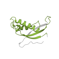 The deposited structure of PDB entry 5lzz contains 1 copy of Pfam domain PF01198 (Ribosomal protein L31e) in Large ribosomal subunit protein eL31. Showing 1 copy in chain CA [auth d].