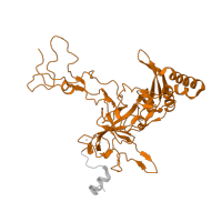 The deposited structure of PDB entry 5lzz contains 1 copy of Pfam domain PF00297 (Ribosomal protein L3) in Ribosomal protein L3. Showing 1 copy in chain B.