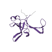The deposited structure of PDB entry 5lzz contains 1 copy of Pfam domain PF01247 (Ribosomal protein L35Ae) in Large ribosomal subunit protein eL33. Showing 1 copy in chain EA [auth f].