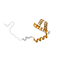 The deposited structure of PDB entry 5lzz contains 1 copy of Pfam domain PF01158 (Ribosomal protein L36e) in 60S ribosomal protein L36. Showing 1 copy in chain HA [auth i].