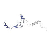 The deposited structure of PDB entry 5lzz contains 1 copy of Pfam domain PF01907 (Ribosomal protein L37e) in Ribosomal protein L37. Showing 1 copy in chain IA [auth j].