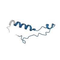 The deposited structure of PDB entry 5lzz contains 1 copy of Pfam domain PF00832 (Ribosomal L39 protein) in Ribosomal protein L39. Showing 1 copy in chain KA [auth l].