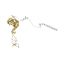 The deposited structure of PDB entry 5lzz contains 1 copy of Pfam domain PF00573 (Ribosomal protein L4/L1 family) in Large ribosomal subunit protein uL4. Showing 1 copy in chain C.