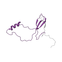 The deposited structure of PDB entry 5lzz contains 1 copy of Pfam domain PF00935 (Ribosomal protein L44) in 60S ribosomal protein L36a-like. Showing 1 copy in chain NA [auth o].