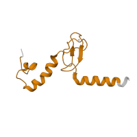 The deposited structure of PDB entry 5lzz contains 1 copy of Pfam domain PF01780 (Ribosomal L37ae protein family) in 60S ribosomal protein L37a. Showing 1 copy in chain OA [auth p].