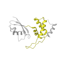 The deposited structure of PDB entry 5lzz contains 1 copy of Pfam domain PF00298 (Ribosomal protein L11, RNA binding domain) in Large ribosomal subunit protein uL11. Showing 1 copy in chain RA [auth t].