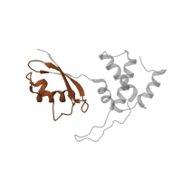 The deposited structure of PDB entry 5lzz contains 1 copy of Pfam domain PF03946 (Ribosomal protein L11, N-terminal domain) in Large ribosomal subunit protein uL11. Showing 1 copy in chain RA [auth t].