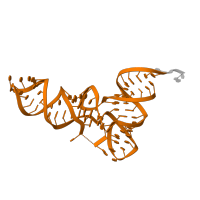 The deposited structure of PDB entry 5lzz contains 1 copy of Rfam domain RF00005 (tRNA) in E-site tRNA. Showing 1 copy in chain UA [auth 3].