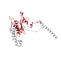 The deposited structure of PDB entry 5lzz contains 1 copy of Pfam domain PF17144 (Ribosomal large subunit proteins 60S L5, and 50S L18) in Ribosomal protein L5 eukaryotic C-terminal domain-containing protein. Showing 1 copy in chain D.