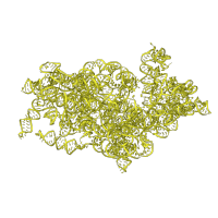 The deposited structure of PDB entry 5lzz contains 1 copy of Rfam domain RF01960 (Eukaryotic small subunit ribosomal RNA) in 18S Ribosomal RNA. Showing 1 copy in chain YA [auth 9].