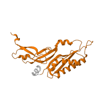The deposited structure of PDB entry 5lzz contains 1 copy of Pfam domain PF01015 (Ribosomal S3Ae family) in Small ribosomal subunit protein eS1. Showing 1 copy in chain AB [auth BB].
