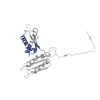 The deposited structure of PDB entry 5lzz contains 1 copy of Pfam domain PF07650 (KH domain) in Small ribosomal subunit protein uS3. Showing 1 copy in chain CB [auth DD].