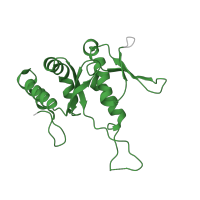The deposited structure of PDB entry 5lzz contains 1 copy of Pfam domain PF01251 (Ribosomal protein S7e) in Small ribosomal subunit protein eS7. Showing 1 copy in chain GB [auth HH].