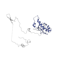 The deposited structure of PDB entry 5lzz contains 1 copy of Pfam domain PF01159 (Ribosomal protein L6e) in 60S ribosomal protein L6. Showing 1 copy in chain E.