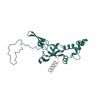 The deposited structure of PDB entry 5lzz contains 1 copy of Pfam domain PF01201 (Ribosomal protein S8e) in 40S ribosomal protein S8. Showing 1 copy in chain HB [auth II].