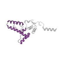 The deposited structure of PDB entry 5lzz contains 1 copy of Pfam domain PF00163 (Ribosomal protein S4/S9 N-terminal domain) in Small ribosomal subunit protein uS4. Showing 1 copy in chain IB [auth JJ].