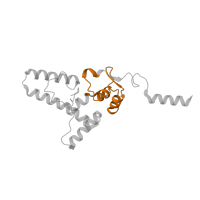 The deposited structure of PDB entry 5lzz contains 1 copy of Pfam domain PF01479 (S4 domain) in Small ribosomal subunit protein uS4. Showing 1 copy in chain IB [auth JJ].