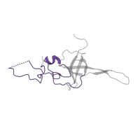 The deposited structure of PDB entry 5lzz contains 1 copy of Pfam domain PF16205 (Ribosomal_S17 N-terminal) in Small ribosomal subunit protein uS17. Showing 1 copy in chain KB [auth LL].