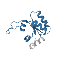 The deposited structure of PDB entry 5lzz contains 1 copy of Pfam domain PF01248 (Ribosomal protein L7Ae/L30e/S12e/Gadd45 family) in 40S ribosomal protein S12. Showing 1 copy in chain LB [auth MM].