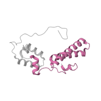 The deposited structure of PDB entry 5lzz contains 1 copy of Pfam domain PF00312 (Ribosomal protein S15) in Small ribosomal subunit protein uS15. Showing 1 copy in chain MB [auth NN].