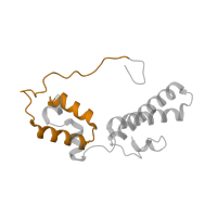 The deposited structure of PDB entry 5lzz contains 1 copy of Pfam domain PF08069 (Ribosomal S13/S15 N-terminal domain) in Small ribosomal subunit protein uS15. Showing 1 copy in chain MB [auth NN].