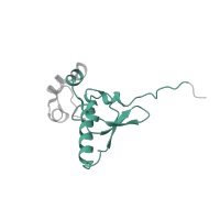 The deposited structure of PDB entry 5lzz contains 1 copy of Pfam domain PF00203 (Ribosomal protein S19) in 40S ribosomal protein S15. Showing 1 copy in chain OB [auth PP].
