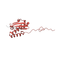 The deposited structure of PDB entry 5lzz contains 1 copy of Pfam domain PF00380 (Ribosomal protein S9/S16) in Ribosomal protein S16. Showing 1 copy in chain PB [auth QQ].