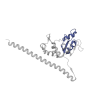 The deposited structure of PDB entry 5lzz contains 1 copy of Pfam domain PF00327 (Ribosomal protein L30p/L7e) in Ribosomal protein L7. Showing 1 copy in chain F.